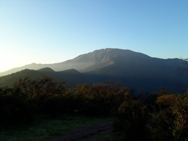 Bustamante