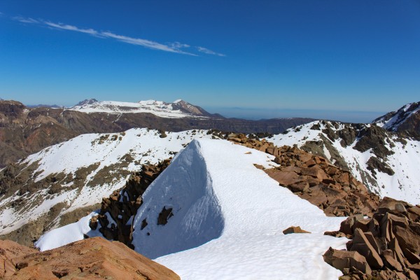 Colmillo del Diablo