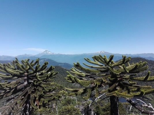 Normal desde camino al Huife