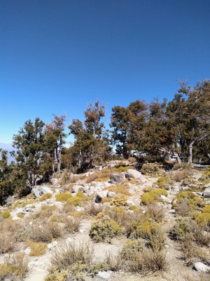Alto del Llivi Llivi