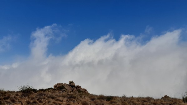 Bustamante