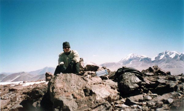 Vicuñas