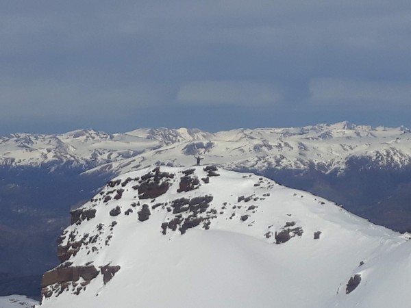 Colmillo