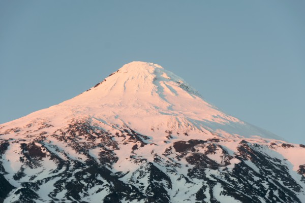 Chilena Variante Noroeste