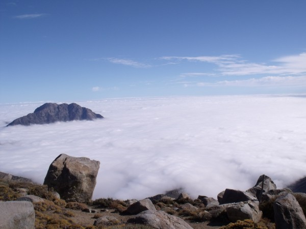 Filo Sur por Santuario de la Naturaleza Cerro El Roble