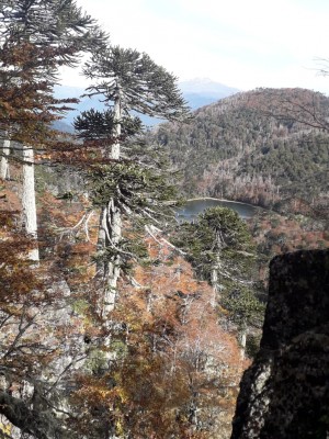 Mirador del Cañi