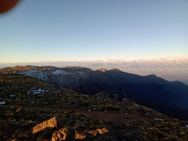 Roble Alto