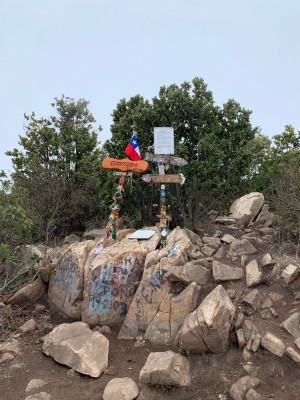 Mauco de Aconcagua