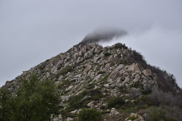 Imán