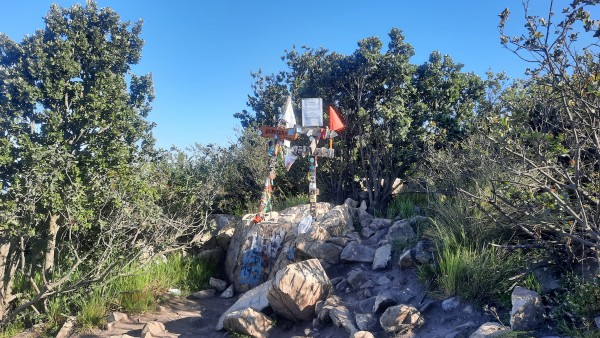 Mauco de Aconcagua
