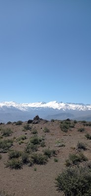 Ñipa