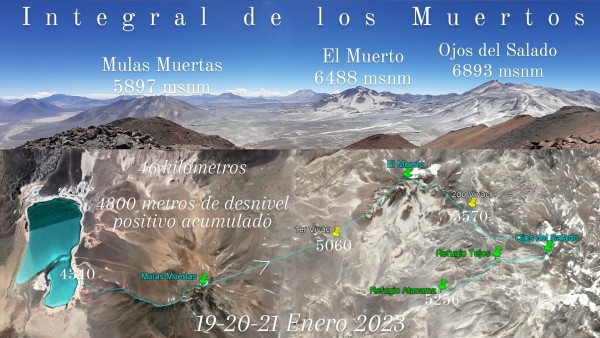 Mulas Muertas
