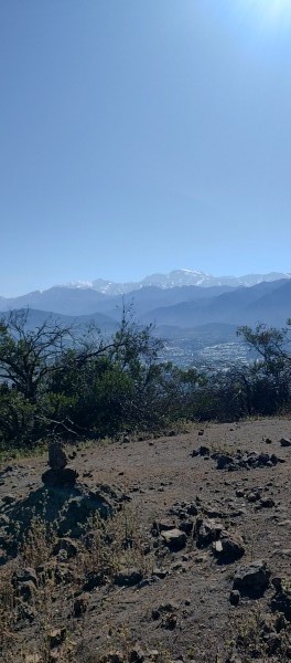 Alvarado