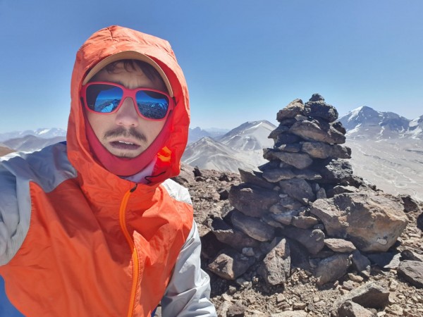 Vicuñas