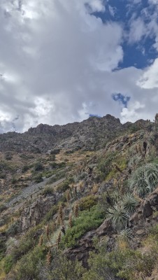 La Cruz