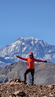 Guanaco