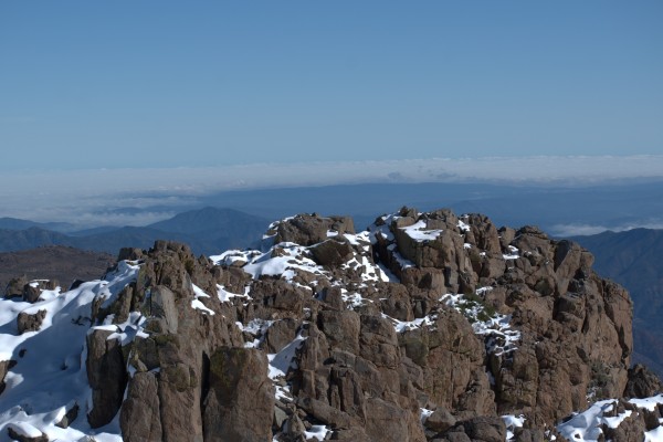 Roble Alto