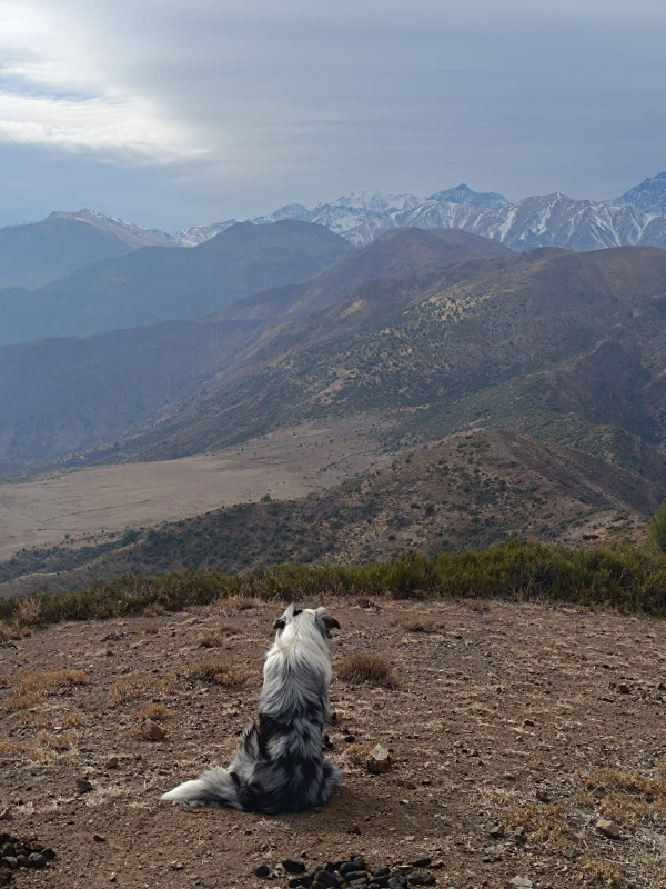 Loma de la Vaca