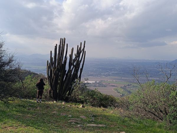 Calera