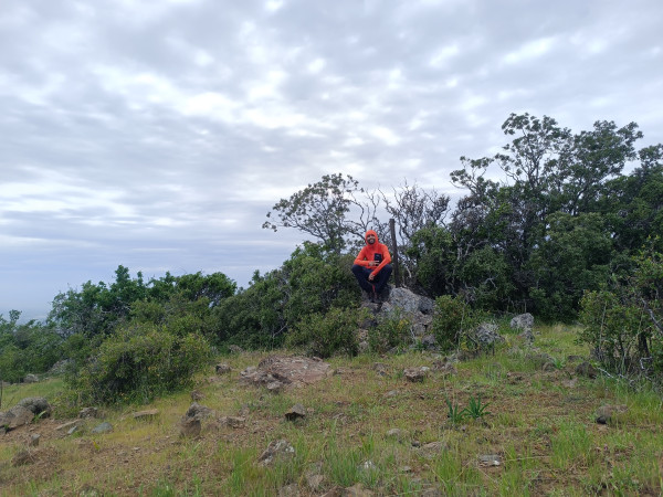 Buitreras