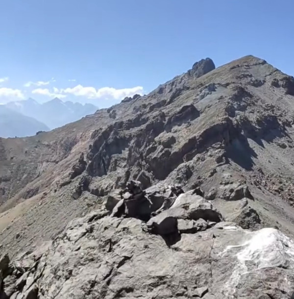Alto del Guayacán