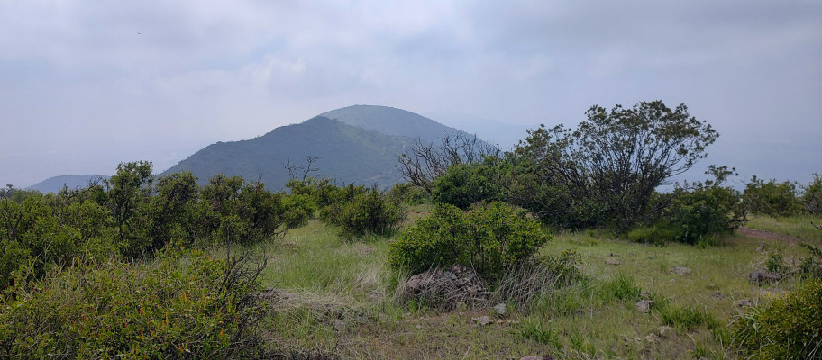 Las Minas