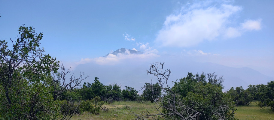 Buitreras