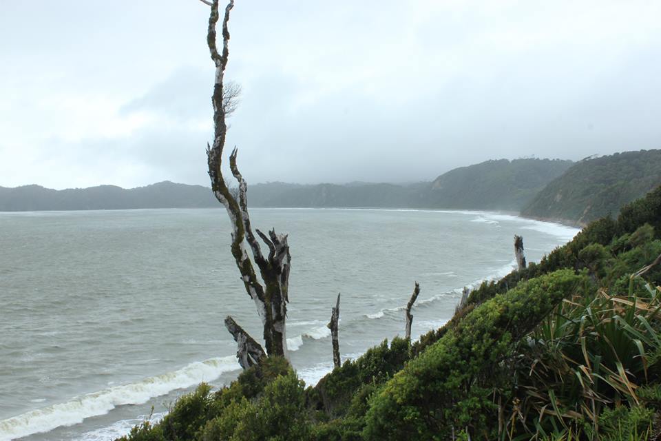 Caleta Zorra