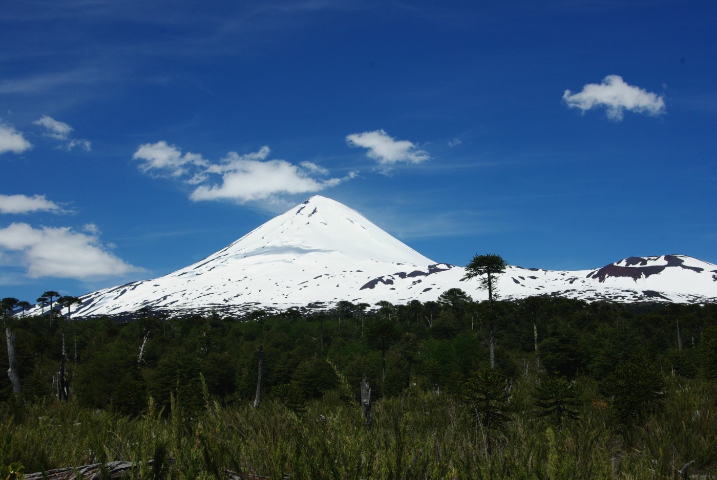 Volcán Llaima