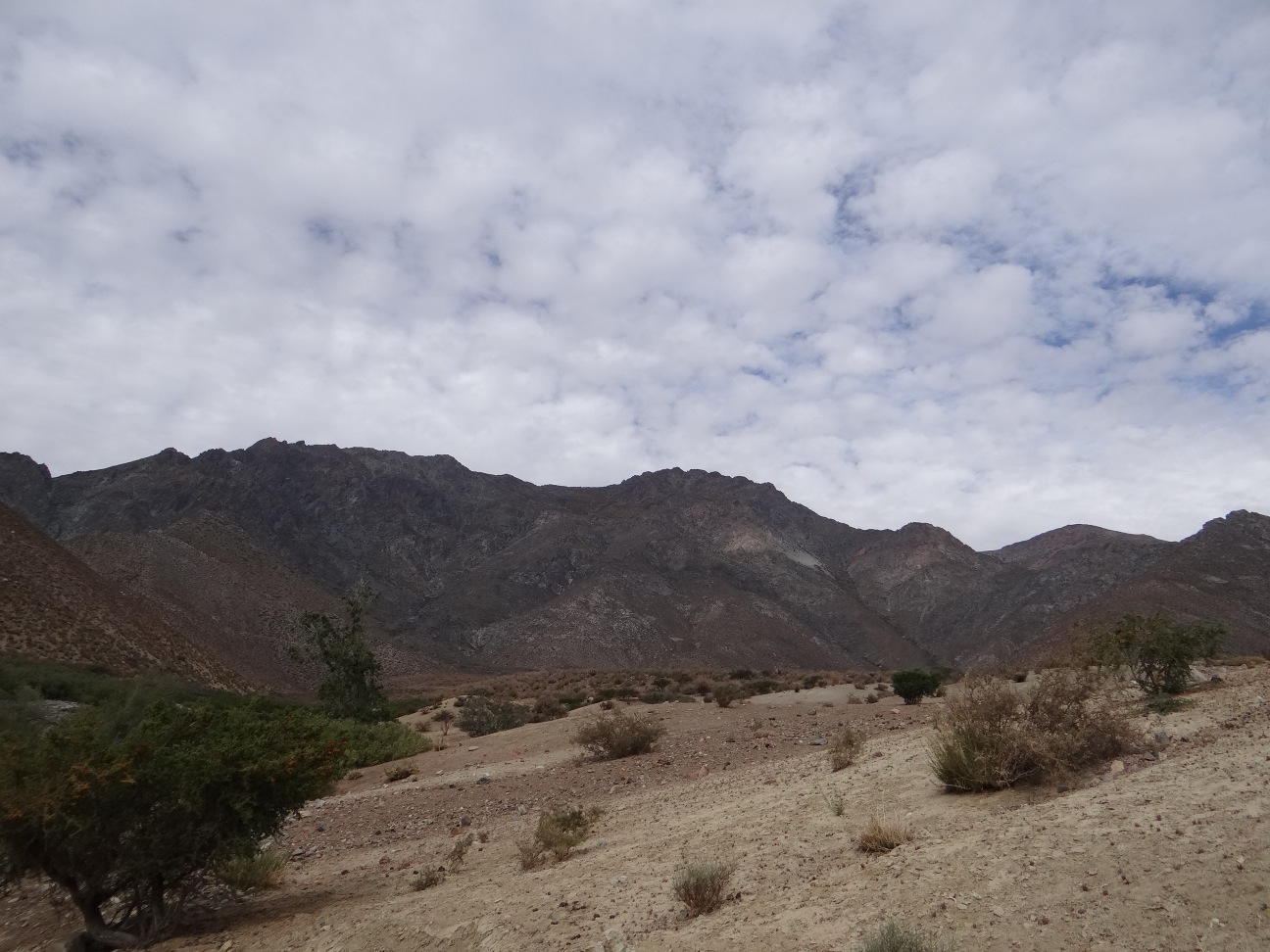 Cerro Paranao