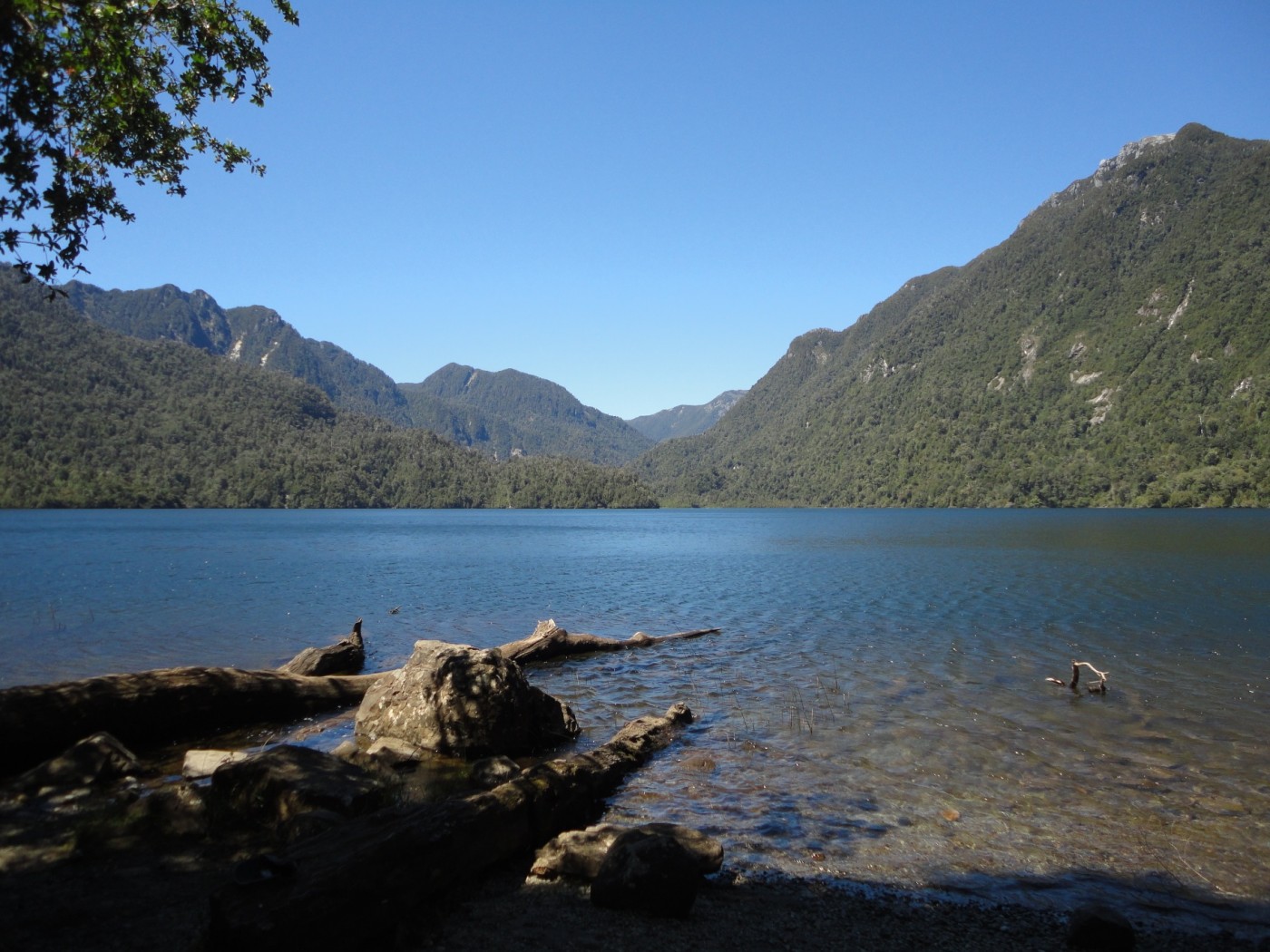 Laguna Sargazo