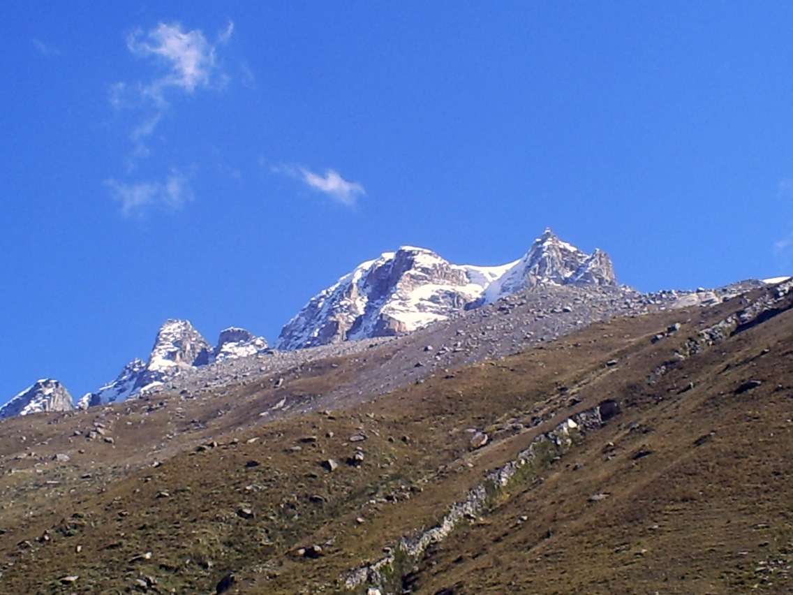 Arista Este