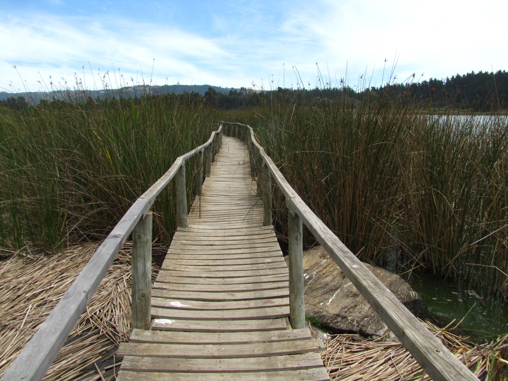 El Pajonal - Laguna Torca