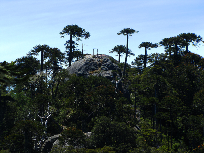 Piedra del Águila