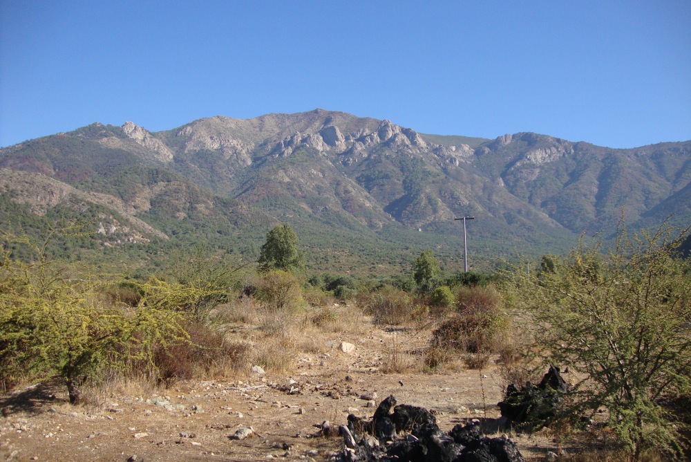 Cerro Poqui