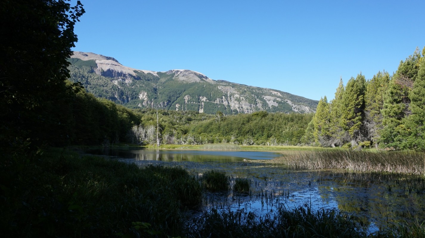 Las Lagunas
