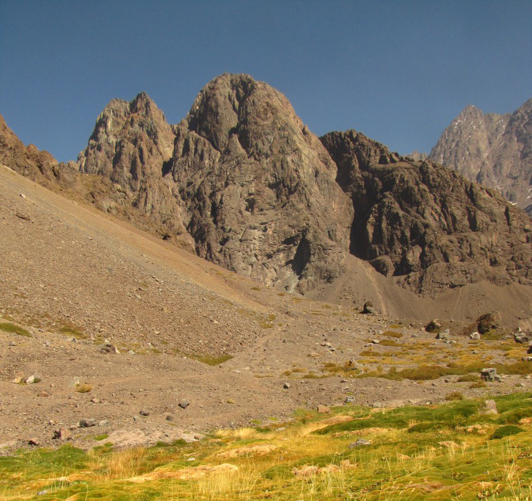 Aguja Nacimiento