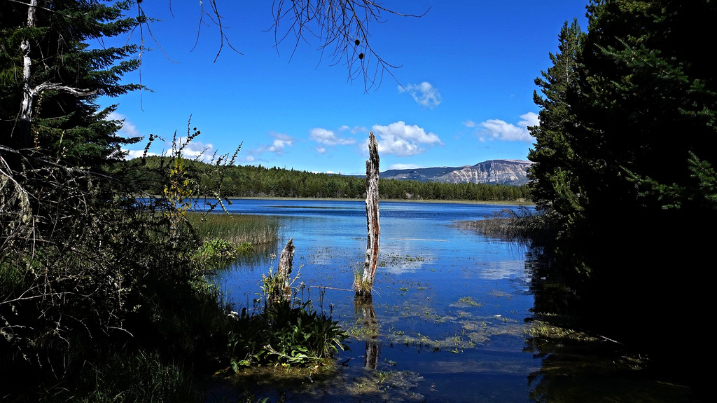 Circuito Laguna Verde