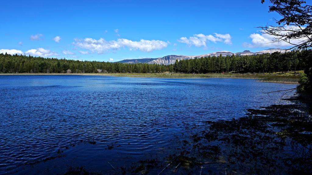 Laguna Verde