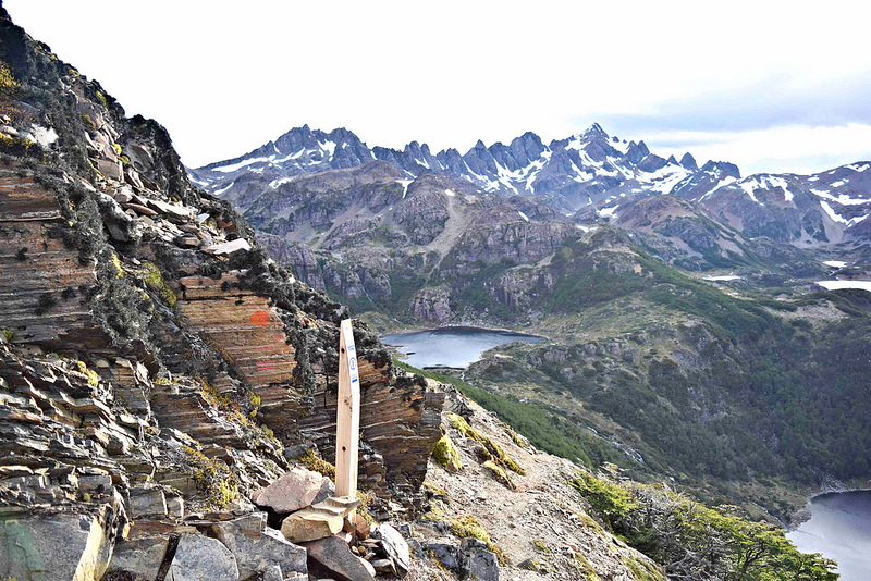 Dientes de Navarino