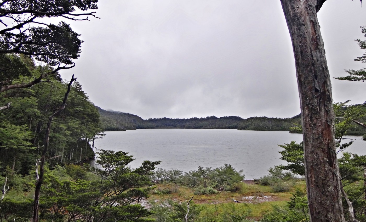 Laguna los Pumas