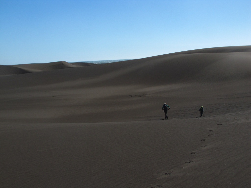 Humedales y Dunas de Putú