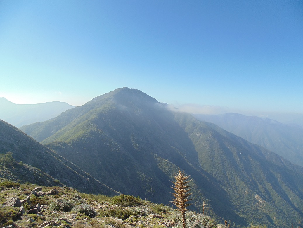 Cerro Alto del Gusano 