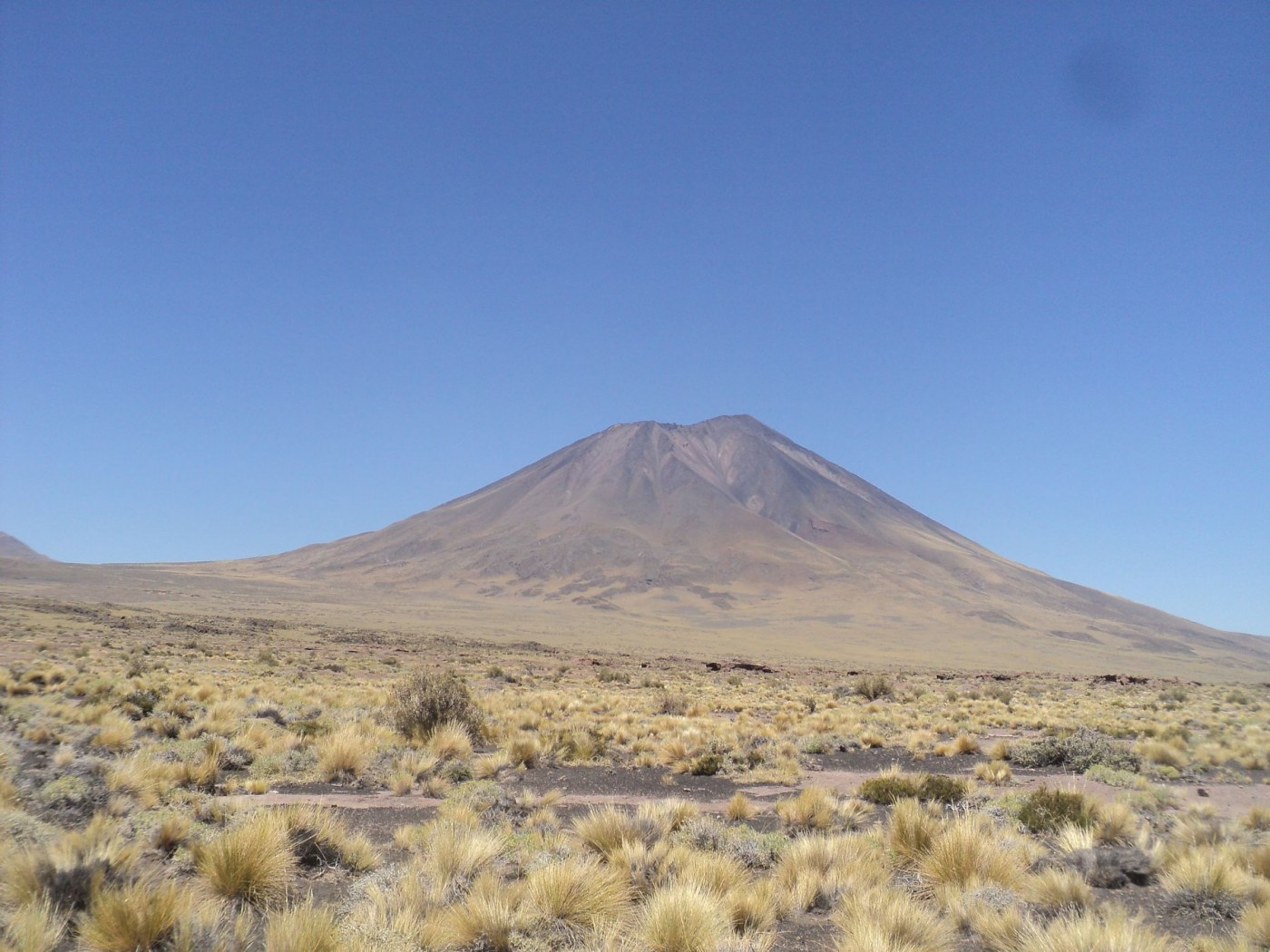 Volcán Payún Liso