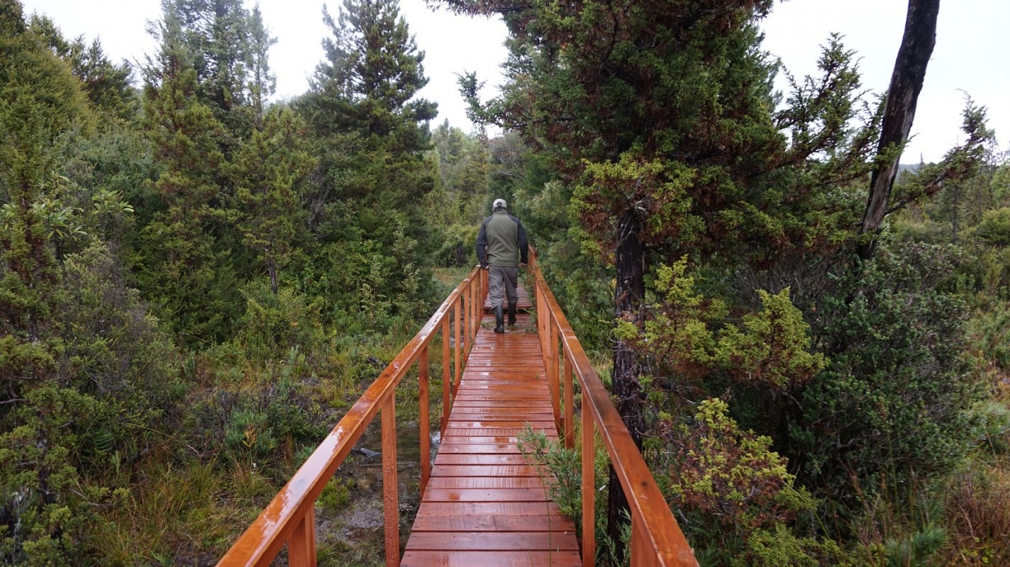 La Ruta de Darwin