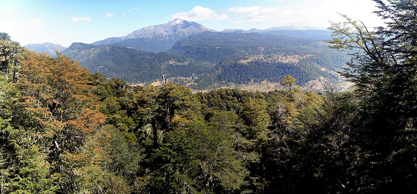 Sendero Piedra Santa