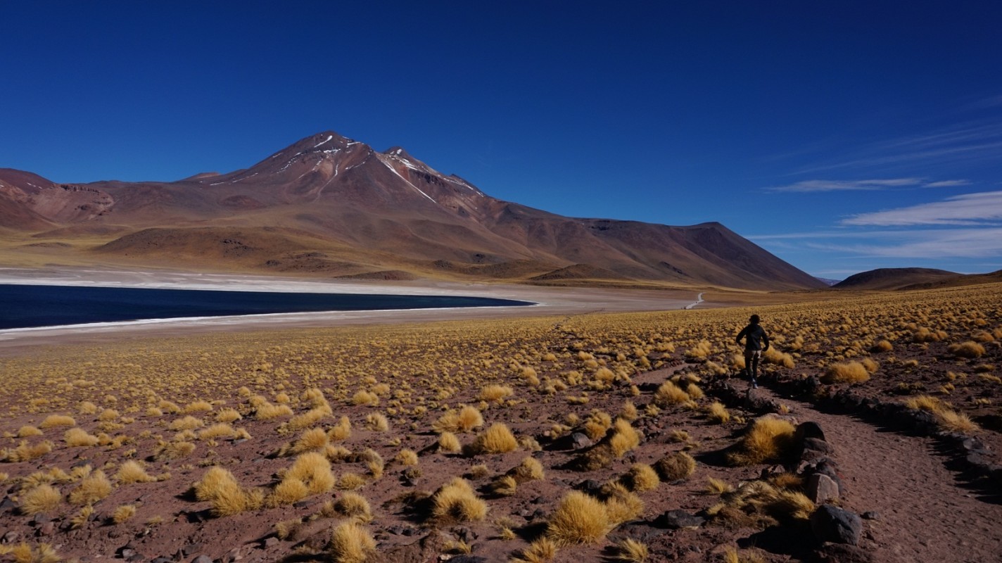 Lagunas Miscanti - Miñiques
