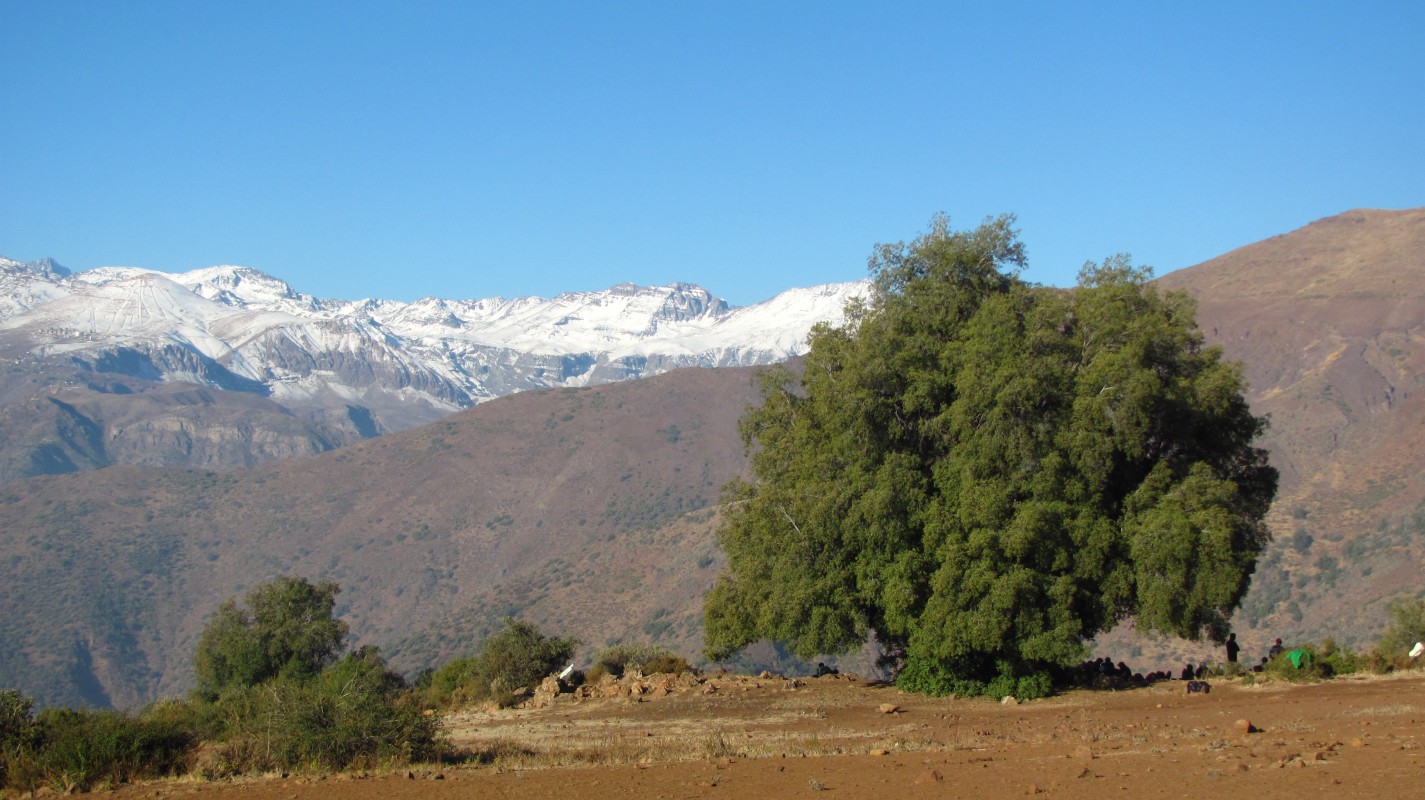 Alto del Naranjo vía San Carlos de Apoquindo