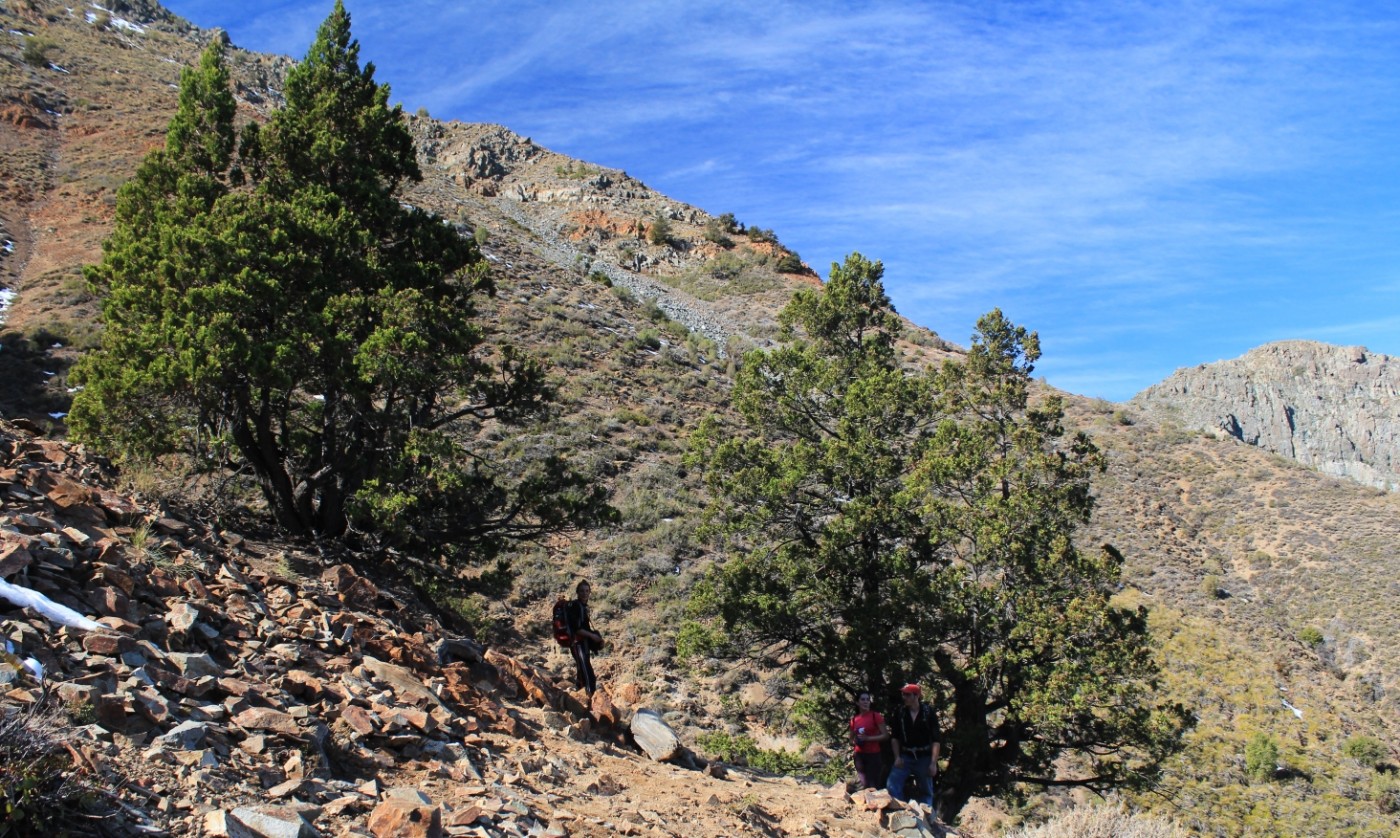 Serranía del Ciprés