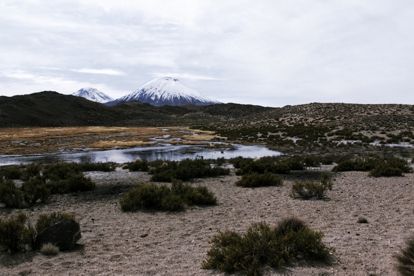 Sendero Interpretativo Parinacota